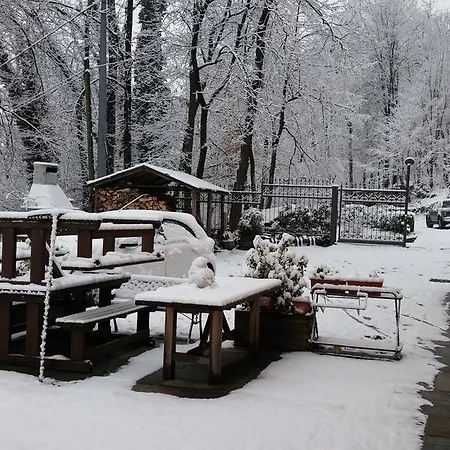 Bed and Breakfast Alpina